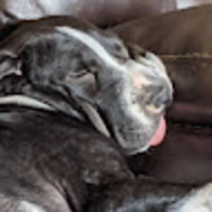 Meet your Posher, Bridgit